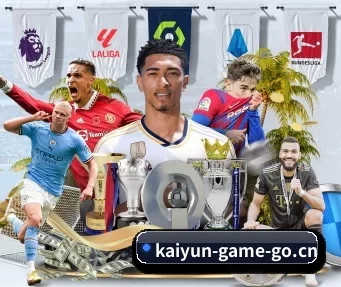 开云电竞 APP（KYEsport）